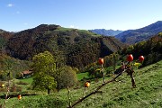 Dalla Culmine di S. Pietro allo Zuc di Maesimo sul sentiero alto estivo 21 DOL il 19 ottobre 2015   - FOTOGALLERY